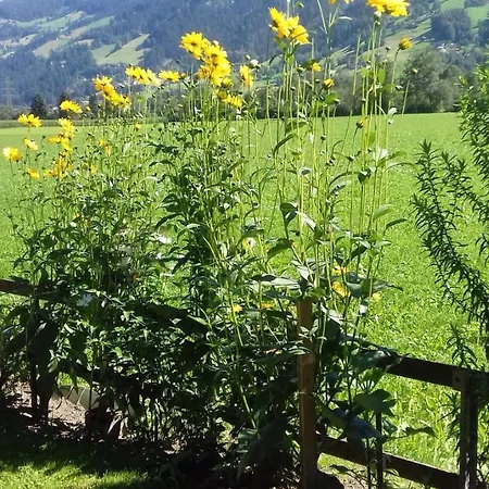 Haus Kreidl 3* Schwendau